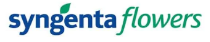 Syngenta flowers